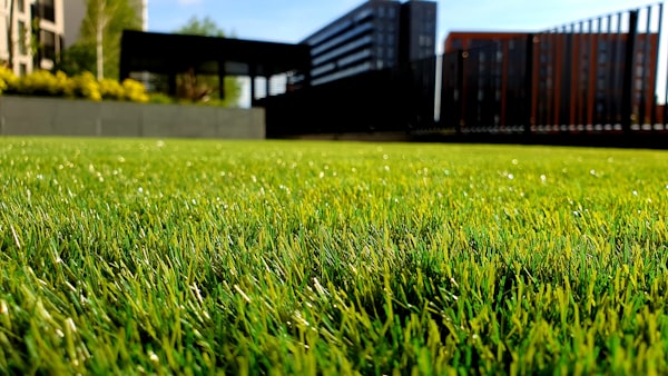 Landscaping Practices