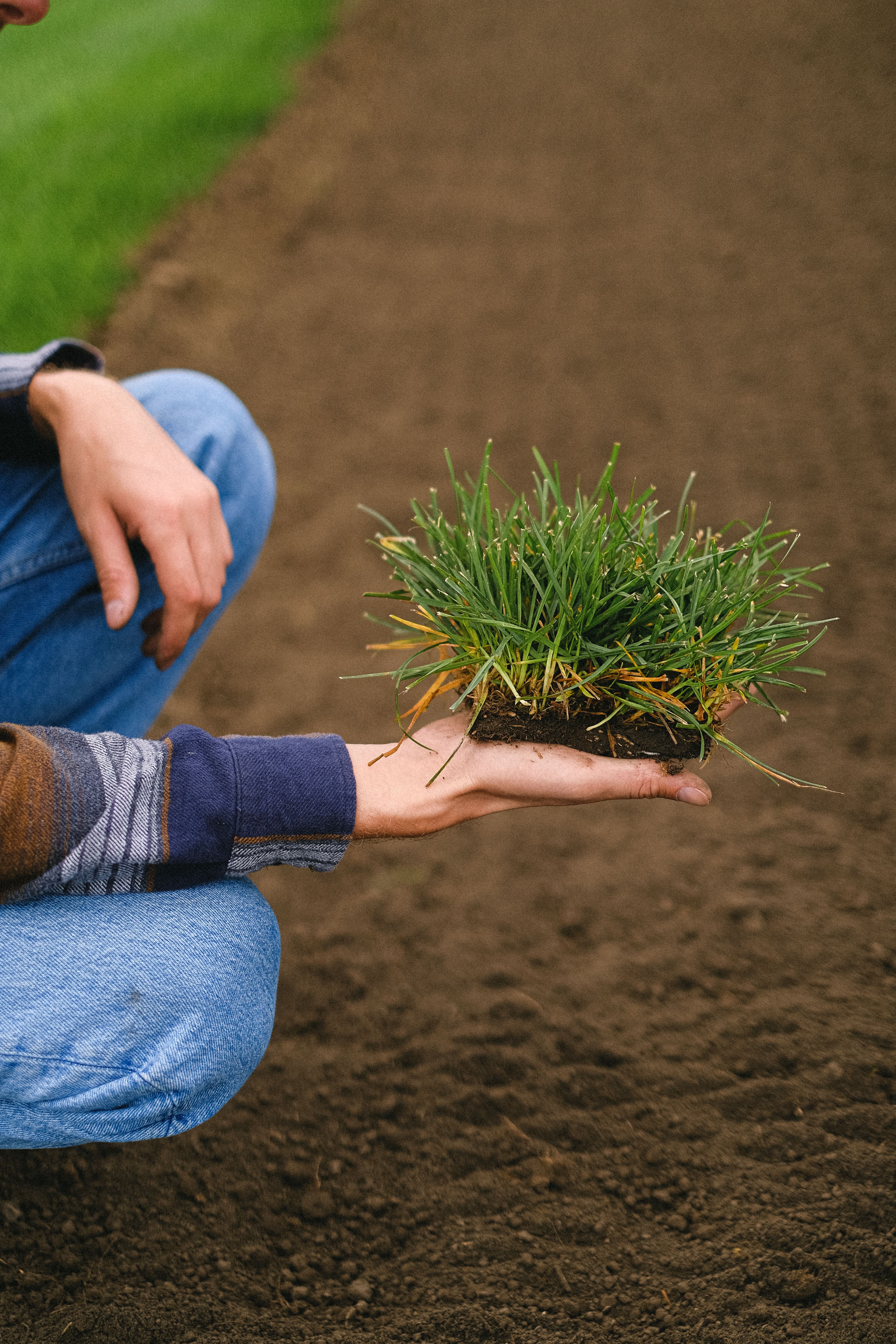 Eco-Friendly Methods